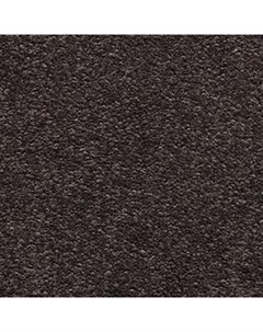 Покрытие ковровое AW Scorpius 44 4 м 100 SDO Associated weavers