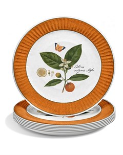 Набор одноразовых тарелок Апельсин 25 см 6 шт Priority