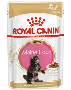 Maine Coon Kitten для котят мэйн кун в соусе 85 гр Royal canin