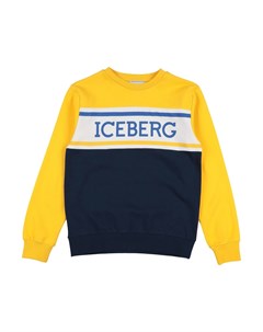 Толстовка Iceberg