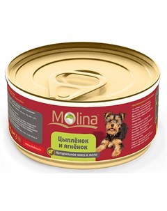 Влажный корм для собак Цыпленок с Ягненком в Желе 0 085 кг Molina