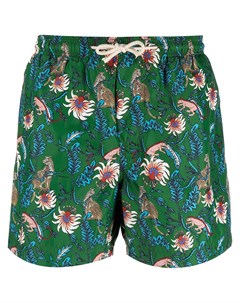 Плавки шорты Malindi Peninsula swimwear