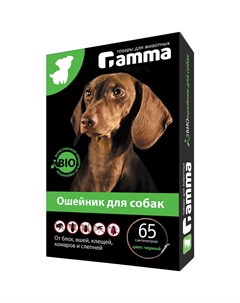 Ошейник для собак средних пород Gamma
