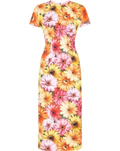 Платье миди с цветочным принтом Dolce&gabbana