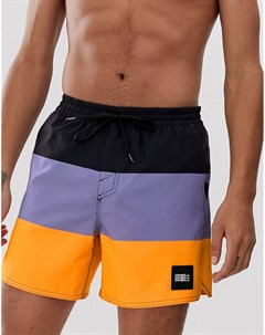 Разноцветные пляжные шорты ONeill Vert Horizon O`neill