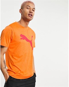 Оранжевая футболка с логотипом Training Puma