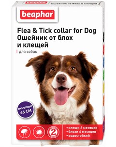 Беафар ошейник для собак против блох и клещей фиолетовый 65 см 1 шт Beaphar