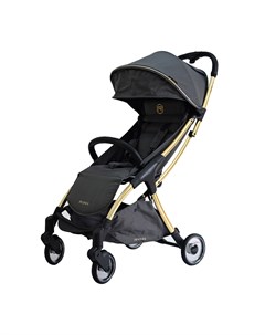 Прогулочная коляска PRIME Light Rich Gray GOLD Special Edition 2020 Ryan