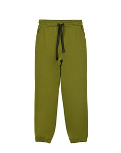 Зеленые спортивные брюки Dan maralex