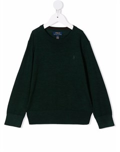 Джемпер с вышитым логотипом Ralph lauren kids