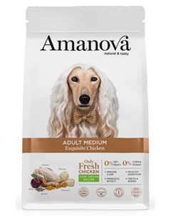 Сухой корм для собак Adult Medium с изысканной курочкой для средних пород 12 кг Amanova