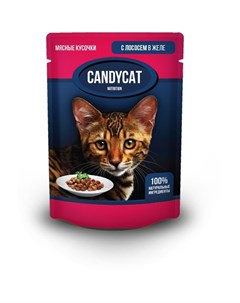 Полнорационный влажный корм для кошек с лососем кусочки в желе в паучах 85 г Candycat