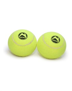 Игрушка для собак набор мячей средних с пищалкой из 2 шт 6 5 см Nems
