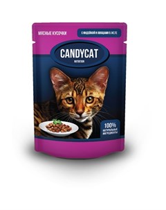 Полнорационный влажный корм для кошек с индейкой и овощами кусочки в желе в паучах 85 г Candycat