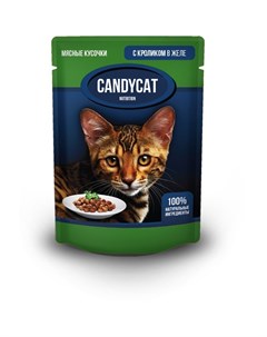 Полнорационный влажный корм для кошек с кроликом кусочки в желе в паучах 85 г Candycat