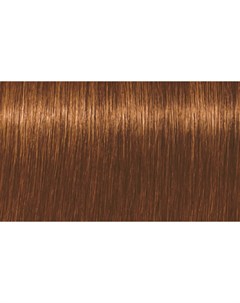 Стойкая крем краска для экспресс окрашивания волос XpressColor 2577082 7 44 Средний русый медный экс Indola (германия)