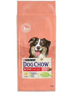 Active для активных взрослых собак всех пород 14 кг Dog chow
