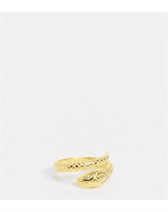Кольцо из стерлингового серебра с позолотой и дизайном в виде оборачивающейся вокруг пальца змеи Asos design