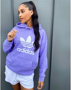 Фиолетовое худи с крупным логотипом adicolor Adidas originals