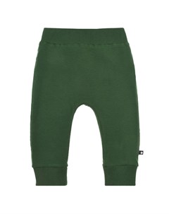 Зеленые спортивные брюки Molo