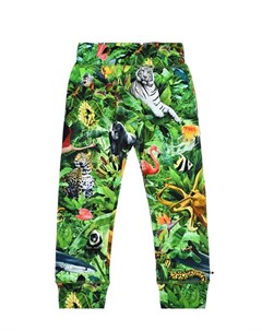 Спортивные брюки с принтом Звери в джунглях Molo