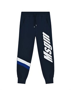 Спортивные брюки с бело синими полосками Msgm