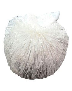 Елочное украшение Яблоко с иголками 11 см Winter wings