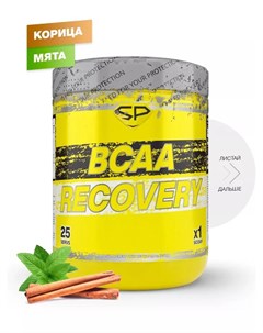 BCAA RECOVERY вкус Фьюри мята и корица 250 гр Steelpower