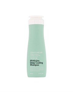 Охлаждающий шампунь для жирной кожи головы look at hair loss minticcino deep cooling shampoo Daeng gi meo ri