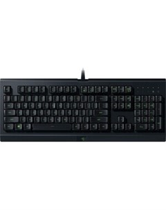 Игровая клавиатура Cynosa Lite RZ03 02741500 R3R1 Razer