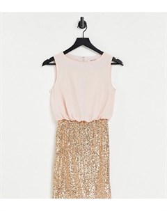 Золотисто розовое платье мини два в одном с пайетками и высоким воротом Jaded rose petite