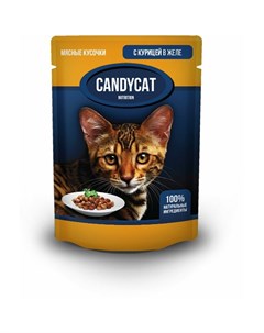 Полнорационный влажный корм для кошек с курицей кусочки в желе в паучах 85 г Candycat