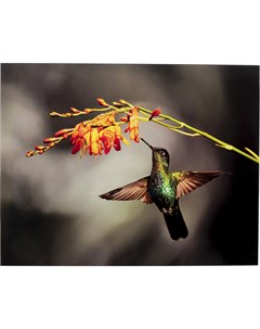Картина colibri мультиколор 90x70 см Kare