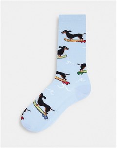Голубые носки до щиколотки с собакой на скейтборде Asos design