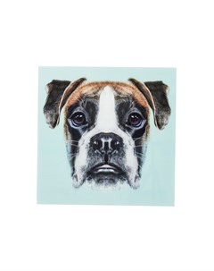 Картина dog face мультиколор 60x60x1 см Kare