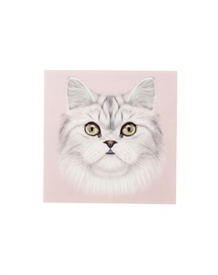 Картина cat мультиколор 60x60x1 см Kare