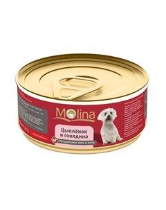 Влажный корм для взрослых собак с цыпленком и говядиной в желе в консервах 85 г Molina