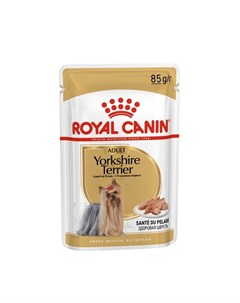 Yorkshire Terrier Adult полнорационный влажный корм для собак породы йоркширский терьер старше 10 ме Royal canin