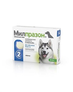 KRKA антигельминтик для собак крупных пород 2 шт Милпразон