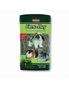 Сено Fieno Hay для грызунов и кроликов луговые травы 1 кг Padovan