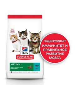 Science Plan Kitten Tuna сухой корм для котят для здорового роста и развития с тунцом 1 5 кг Hill`s