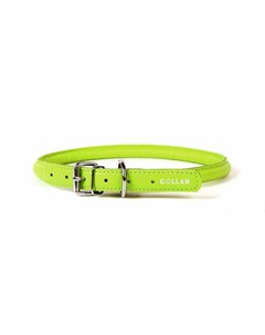 Ошейник круглый для длинношерстных собак ширина 10 мм длина 33 41 см зелёный Collar glamour