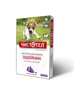 Максимум Ошейник от блох и клещей для собак фиолетовый 65 см Чистотел