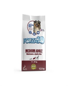 Maintenance сухой корм для взрослых собак средних и крупных пород с ягненком и рисом 12 5 кг Forza10