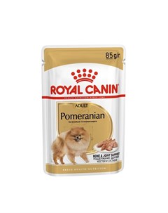 Pomeranian Adult влажный корм для взрослых собак породы померанский шпиц старше 8 месяцев паштет в п Royal canin