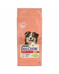 Сухой корм для взрослых активных собак с курицей Dog chow
