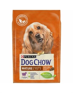 Сухой корм для взрослых собак старшего возраста с ягненком 2 5 кг Dog chow