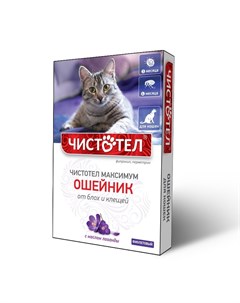 Максимум Ошейник для кошек фиолетовый Чистотел
