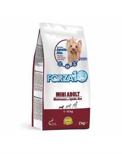 Maintenance для взрослых собак мелких пород из ягненка с рисом 2 кг Forza10