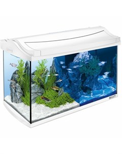 AquaArt LED Tropical аквариум белый 60 л 61 5х34х43 см Tetra
